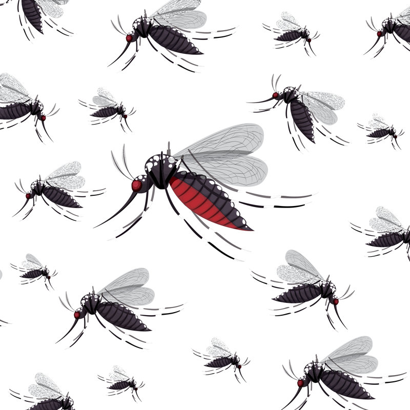 Thurmont Gnat Design - Wrapped Canvas Print, 122cm H x 122cm W x 3.8cm D
