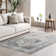 Charvi Distressed Medallion Fringe Area Rug