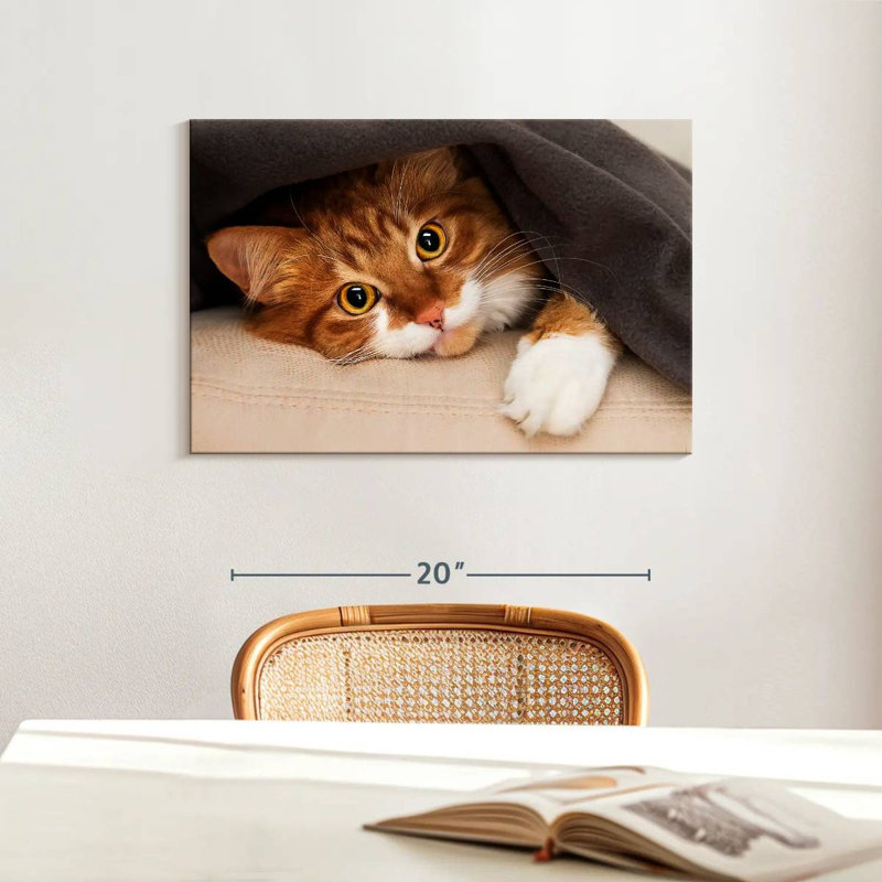 Crowle Cozy Cat, 16" H x 24" W