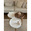 Jovita Coffee Table-2077190463