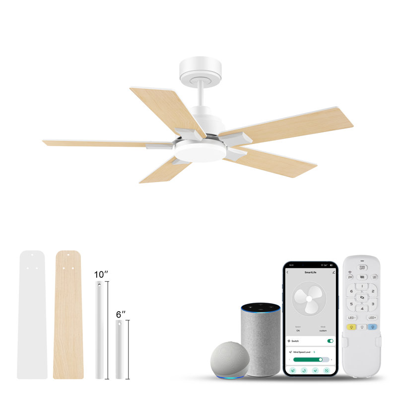 Ventilateur de plafond intérieur / extérieur de 42 po à 5 pales avec lumière DEL, télécommande et commande vocale via Alexa, à intensité variable
