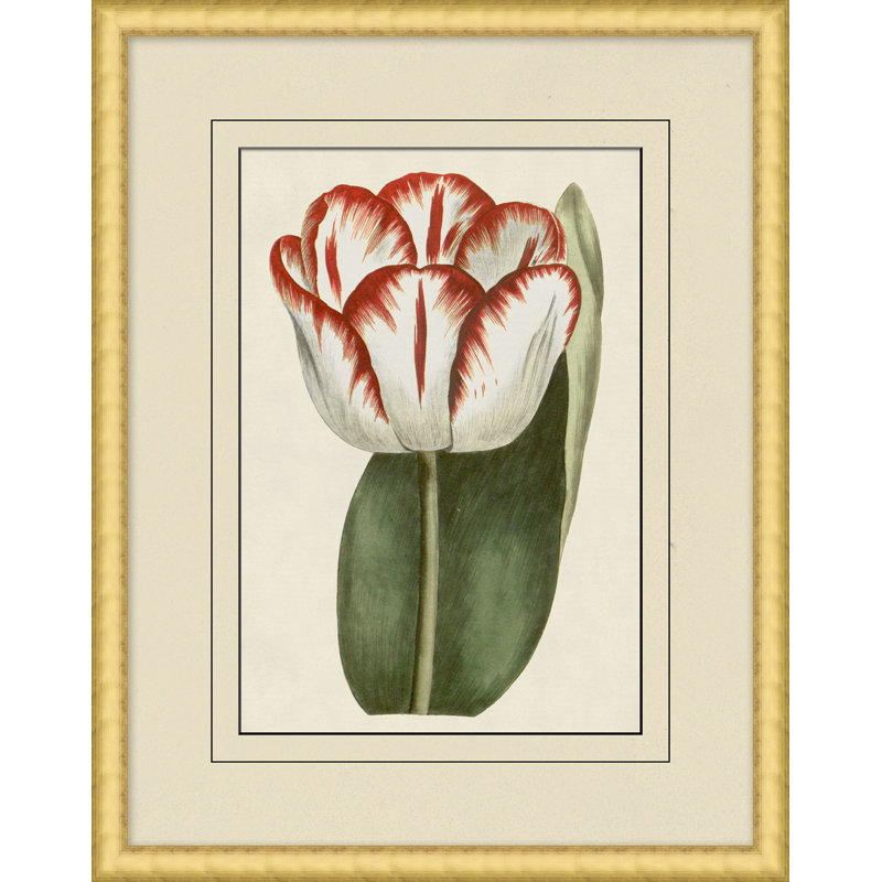 Fresh Flowers 10 Print