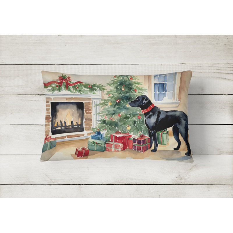 Other/No Pattern Outdoor Throw Pillow