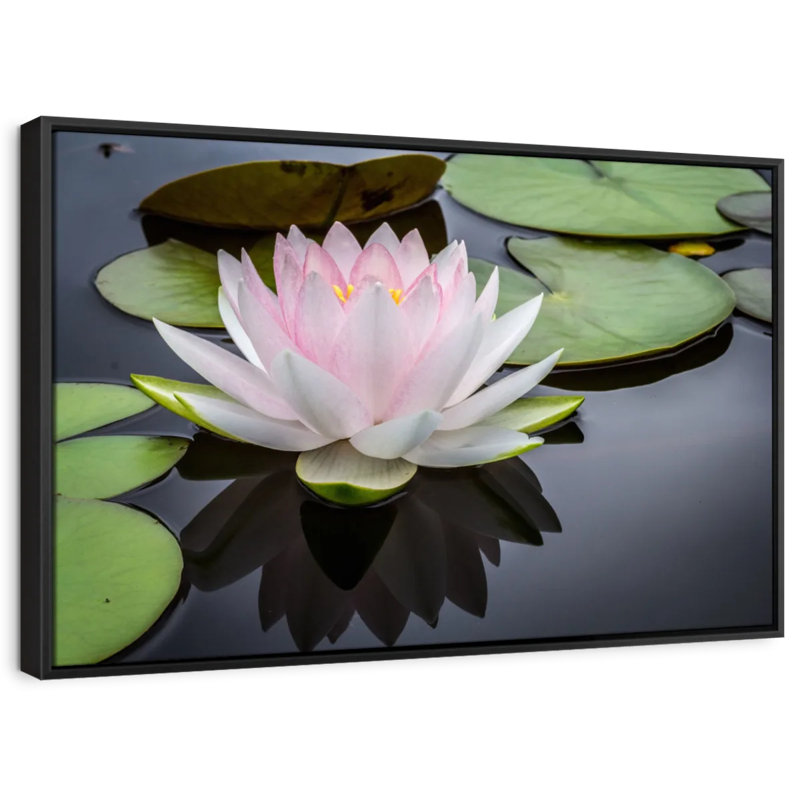 Floral et botanique «Lotus rose blanc», H 21 po x l 31 po