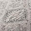 Oriental Area Rug in Grey / Dark Grey-1996215290