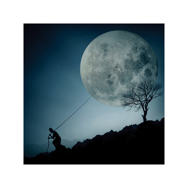 Wrapped Canvas Print, 66.04 cm H x 66.04 cm W x 3.175 cm D