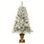 Arbre de Noël 48 'pin éclairé
