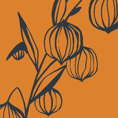 Rouleau de papier peint lisse 26,25 pi x l 27,56 po Lantern Flower