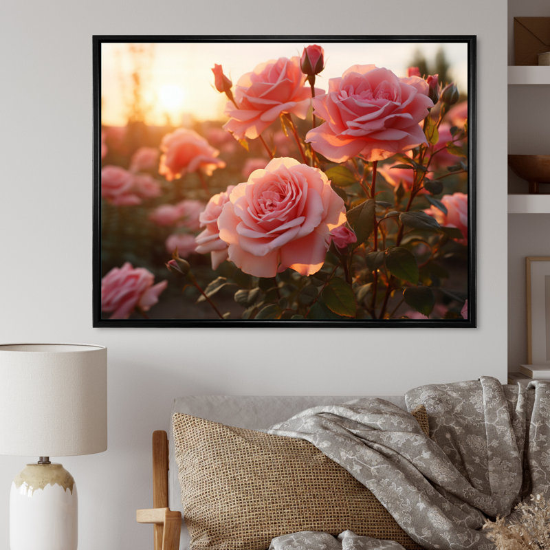 Champ de roses roses avec coucher de soleil, Cadre flottant noir, H 30 po x l 40 po x P 1,5 po