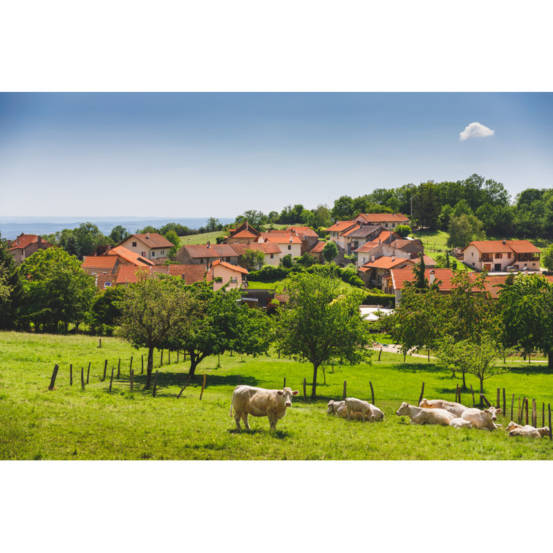 Group Of White Cows by Gregory_Dubus - Wrapped Canvas Print, 20cm H x 30cm W
