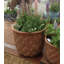 Vaughn Fiberglass Pot Planter-64593794