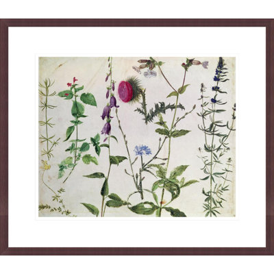 «Huit études de fleurs sauvages» par Albrecht Dürer, impression giclée sur cadre