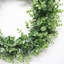 Couronne en plastique eucalyptus-726362231
