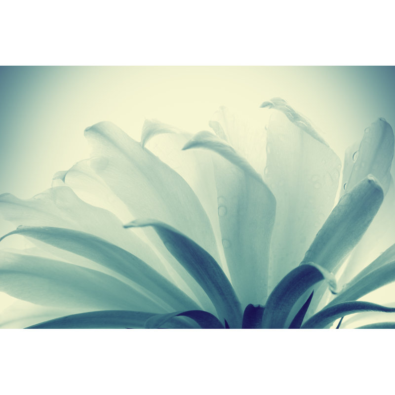 Abstract flower, 61cm H x 91cm W x 3.8cm D