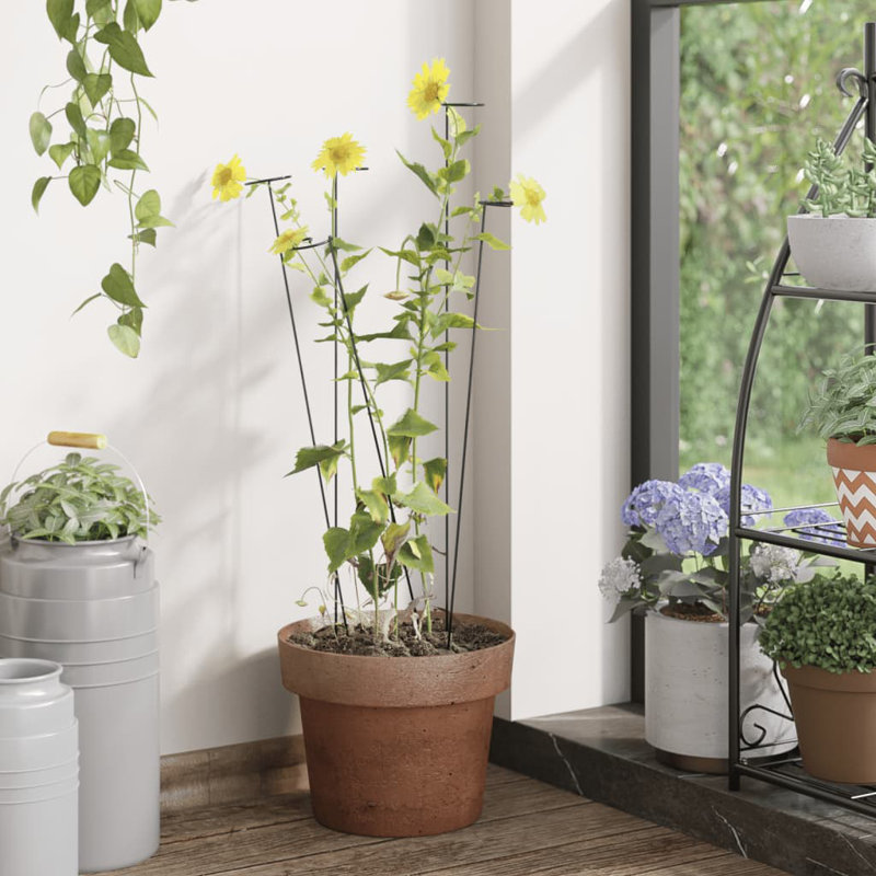 Aroosh 20 Piece Plant Support Set