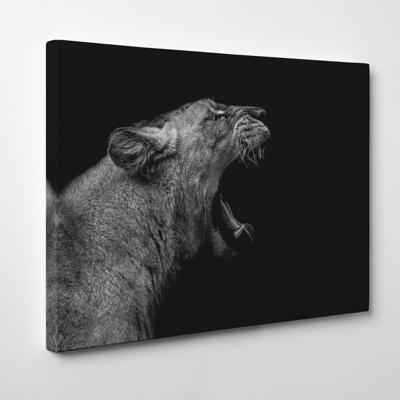 «Lioness In Low Key», art mural sur toile tendue par Nauzet Baez, H 8 po x l 12 po, Papier avec cadre noir