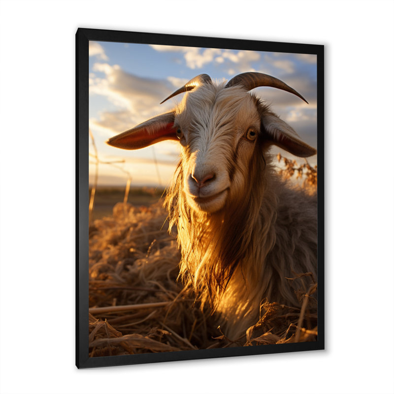 Keeisha Goat Portrait Vibrant II sur toile, H 32 po x l 24 po x P 1 po, Cadre photo noir