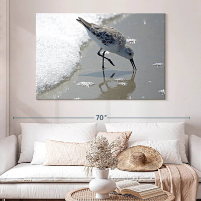 Brampt Sandpiper II