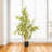 36 Inches Artificial Bamboo Tree In Nursery Pot