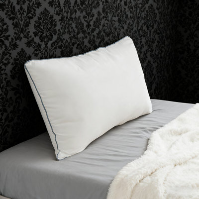 2 coussins décoratifs de style hôtel avec bordure bleue, doux et doux pour la peau, convenant à la chambre à coucher et au salon