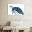 Tortue dans les bleus-1891081452-1891081442