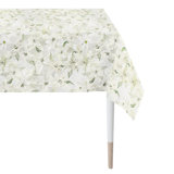 Tablecloth