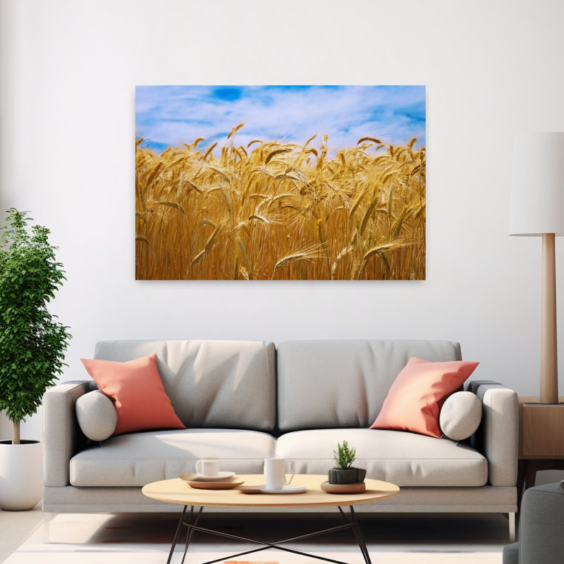 Blé qui pousse dans un champ, Palouse, État de Washington, États-Unis, art contemporain contemporain, plante naturelle