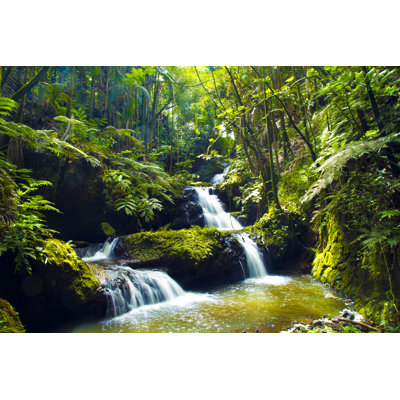 Tropical Waterfall by Zaft - Wrapped Canvas Print