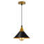 Robbie 1 - Light Black Pendant