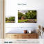 Alvord John Oliver Cabin-108707932
