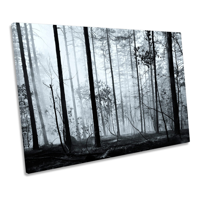 Dark Forest Misty Landscape Trees - Wrapped Canvas Print, 61cm H x 91.4cm W x 4cm D