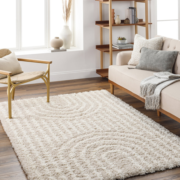 Shag Area Rug