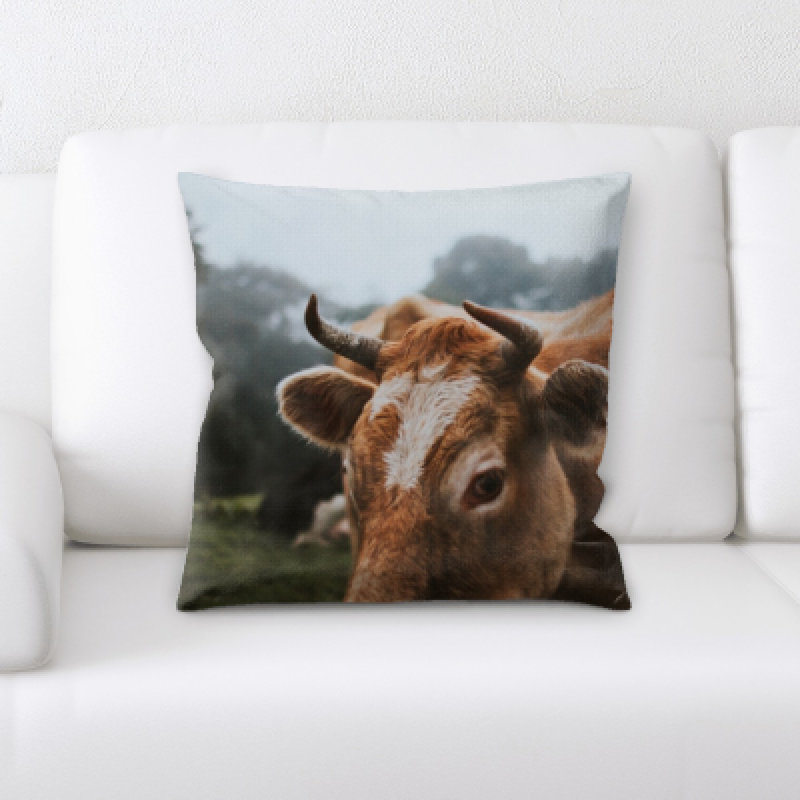 Allbee Microsuede Throw Pillow