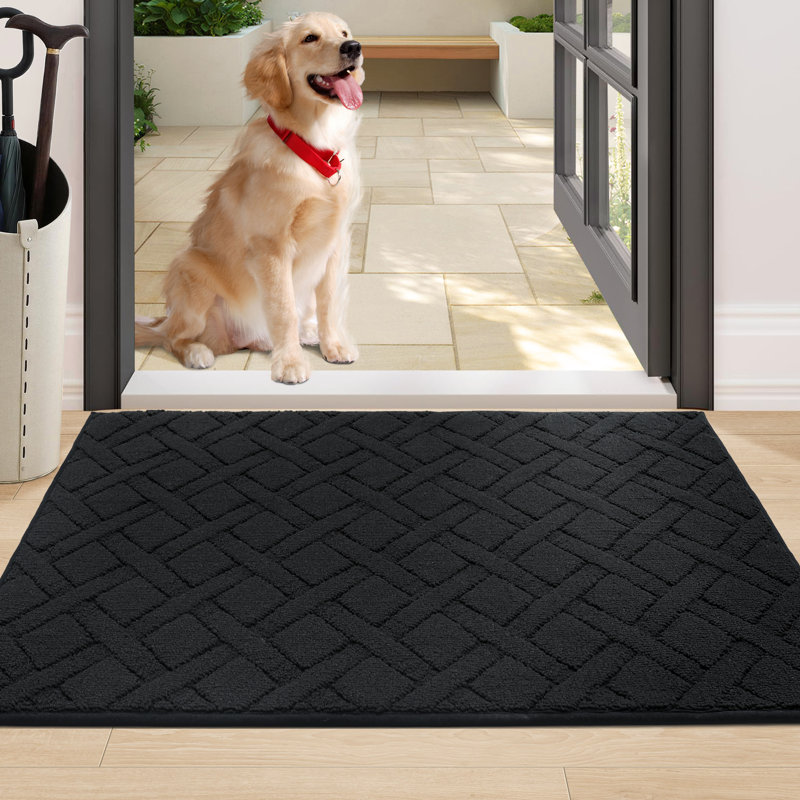 Dioselina Non-Slip Indoor Doormat, 24" W x 36" L, Charcoal