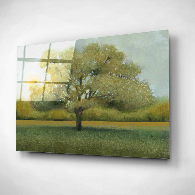 «Sunrise II» par Tim O'Toole, art mural en verre acrylique, H 12 po x l 16 po x P 0,13 po