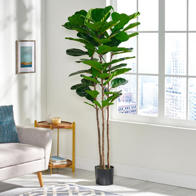 Figuier artificiel en figuier 180 cm avec 72 feuilles - Améliore la verdure intérieure, fer et plastique, 71 po Hauteur, largeur de 30 po, profondeur, poids de 16,72 lb, option de verdure décorative, + hauteur, largeur, profondeur,