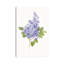 «Dicat Botanical Lilac» par Sally Swatland - reproduction d'art-54944164-54944165-54944170