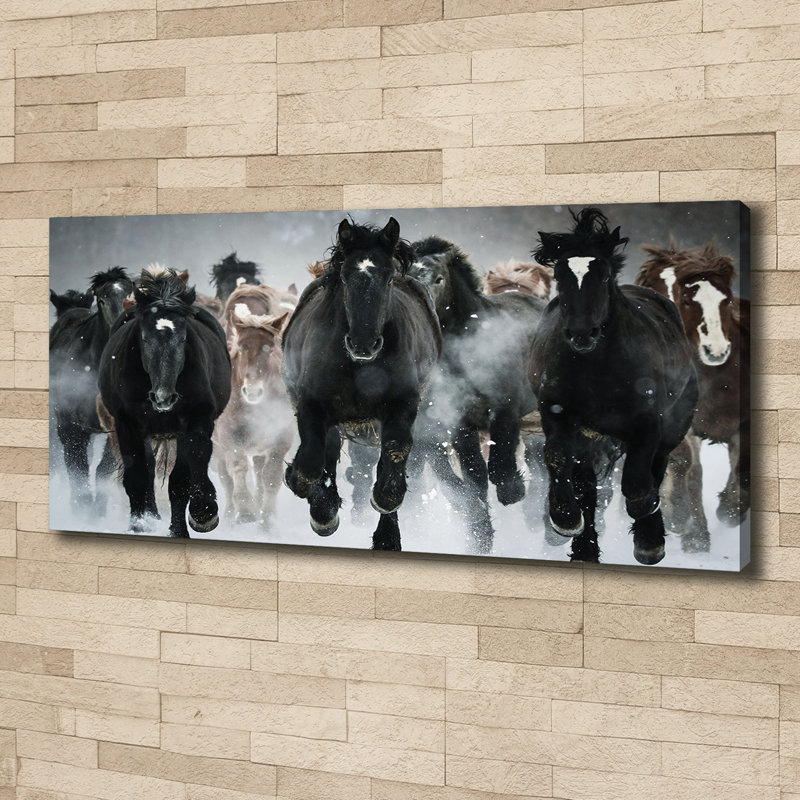 Horses In A Gallop - No Frame Print on Canvas, Canvas, 50cm H x 125cm W x 2cm D