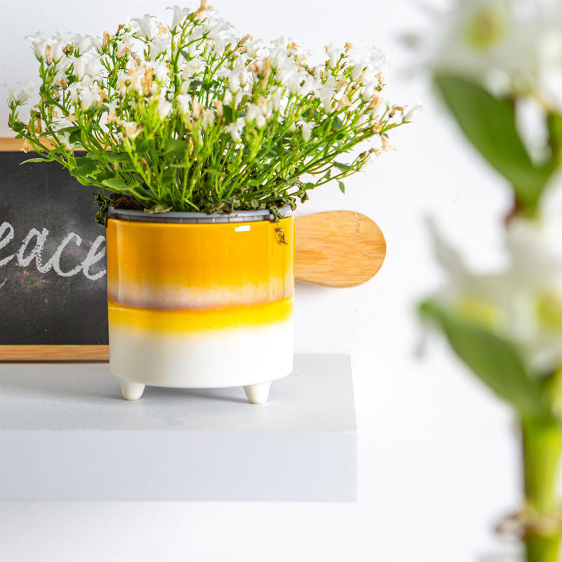 Ceramic Pot Planter, Yellow