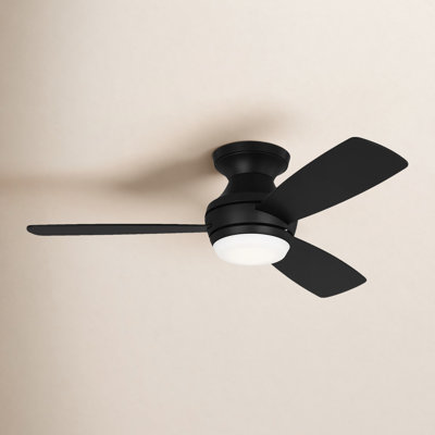 Ventilateur de plafond d'intérieur à DEL à intensité variable avec ensemble d'éclairage, télécommande et moteur réversible manuel Rivers