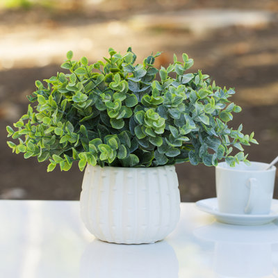 Herbe d'eucalyptus artificiel 10 po en pot