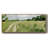 Meadow Trail I - Framed Canvas