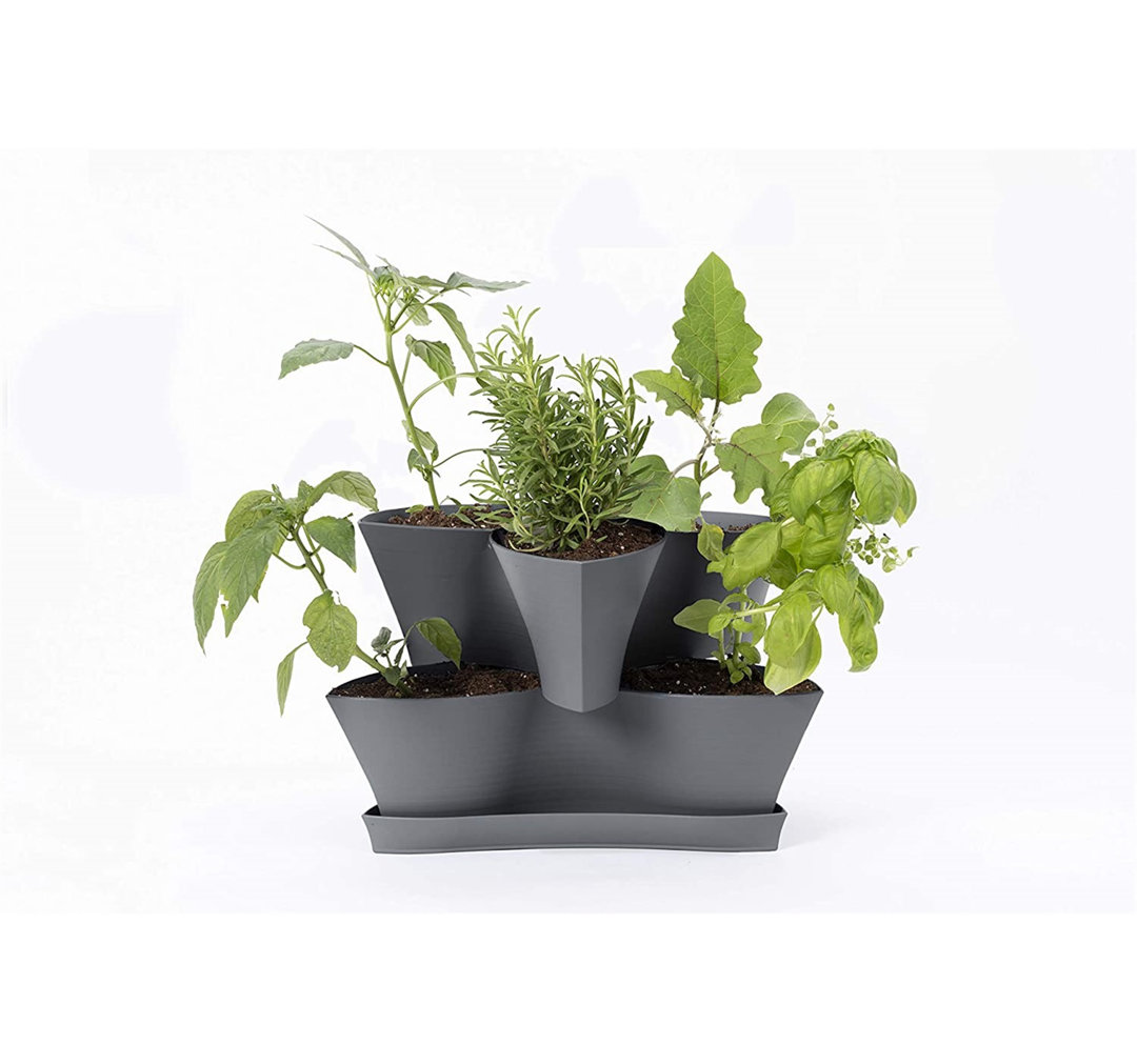 Collins Two Layer Plastic Indoor/Outdoor Vertical Garden Planter Bloem 