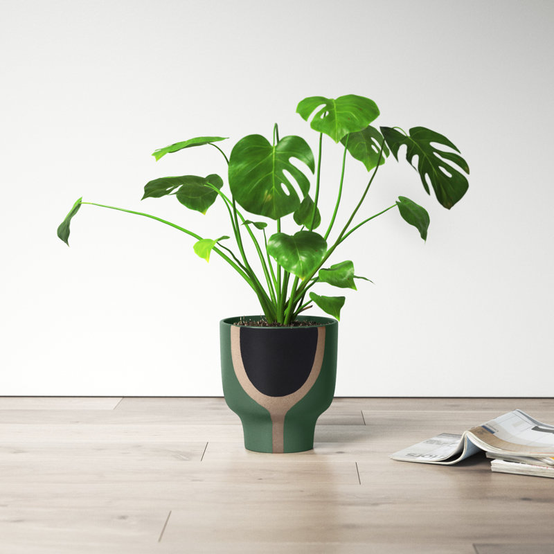 Boho 10" Emerald Ceramic Planter in Mushroom Shape, Green/Beige/Black