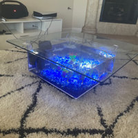 Archie & Oscar™ Claire 13-Gallon Square Fish Tank Coffee Table & Reviews -  Wayfair Canada