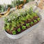 Lit de jardin surélevé pour l'extérieur-1013150434