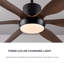Ventilateur de plafond avec lumière L 66 po x l 66 po x H 17 po ABS 1pc grain de bois noir télécommande 6CCT à intensité variable réversible