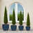 Bleu antique