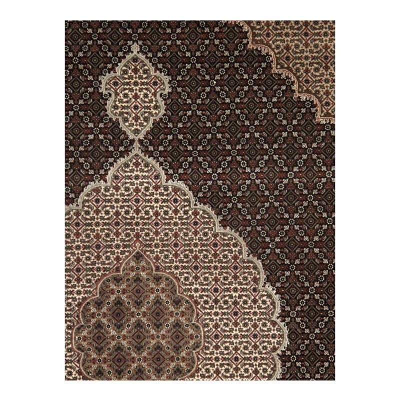 Oriental Area Rug in Brown