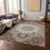 Chayden Area Rug